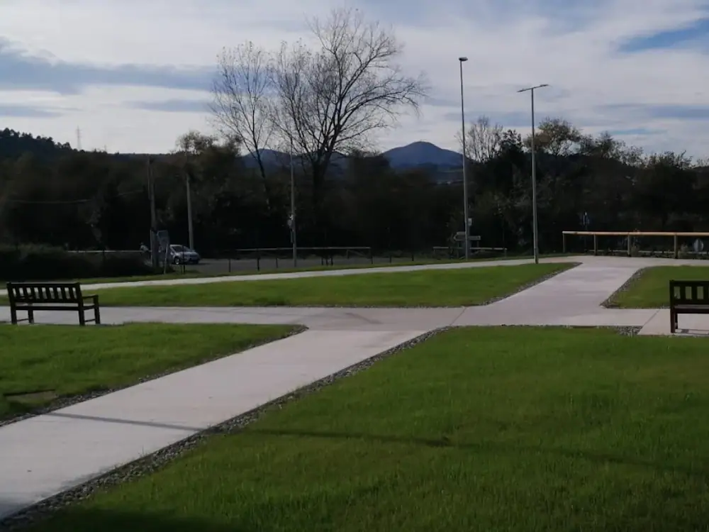 Jardín del centro con césped, árboles y bancos para sentarse