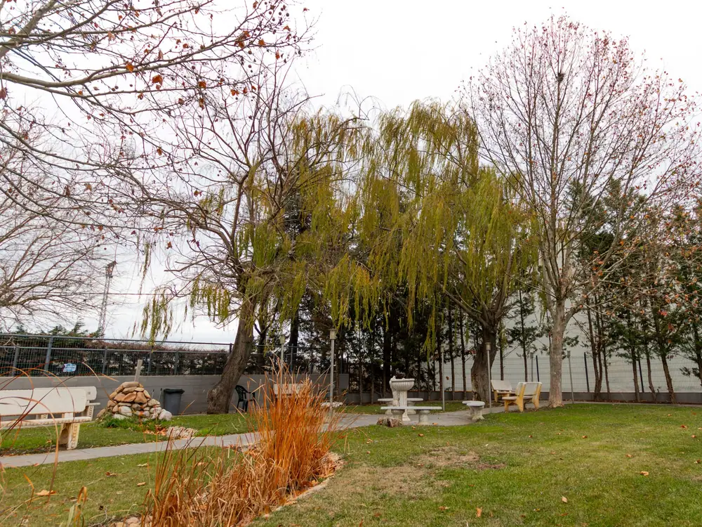 Jardín de Mejora Benavente con árboles y zona de paseo